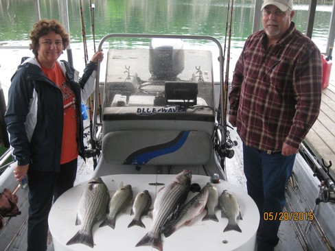 Nice Striped Bass